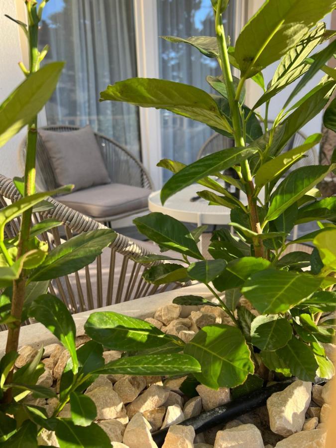 Sunset Huus Apartment สตารีกราด-ปาเคลนีซา ภายนอก รูปภาพ