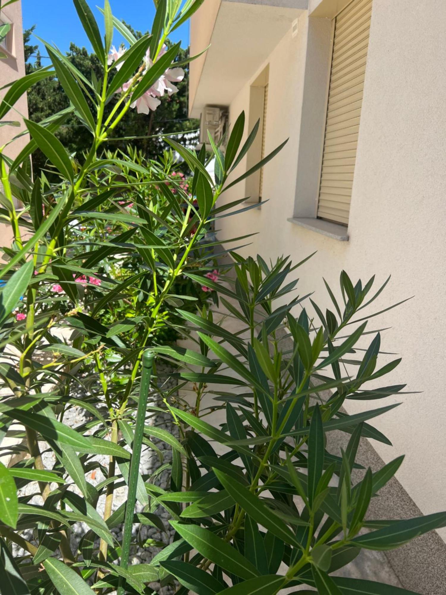 Sunset Huus Apartment สตารีกราด-ปาเคลนีซา ภายนอก รูปภาพ
